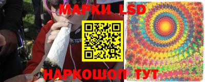 прущие грибы Партизанск