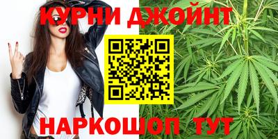 прущие грибы Партизанск
