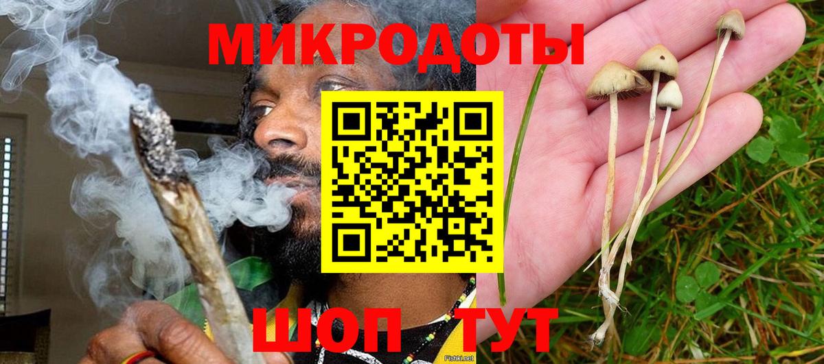 Галлюциногенные грибы мицелий  Вход с VPN  Галлюциногенные грибы Magic Shrooms  Ростов Великий 